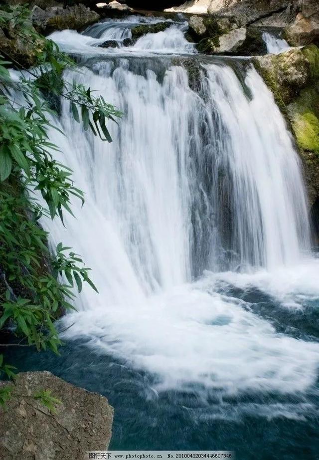 章鱼喷墨汁
