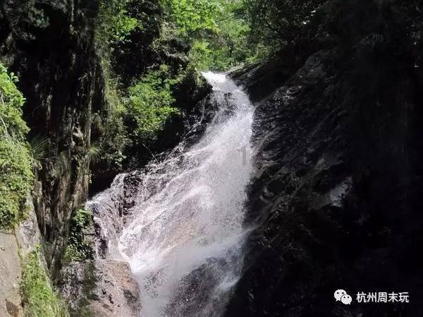 洞庭月历丨水鸟:“湖水清澈,倒映着我”